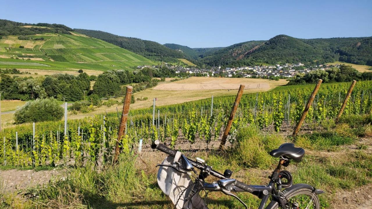 Ferienwohnung Im Moseltal Veldenz Luaran gambar
