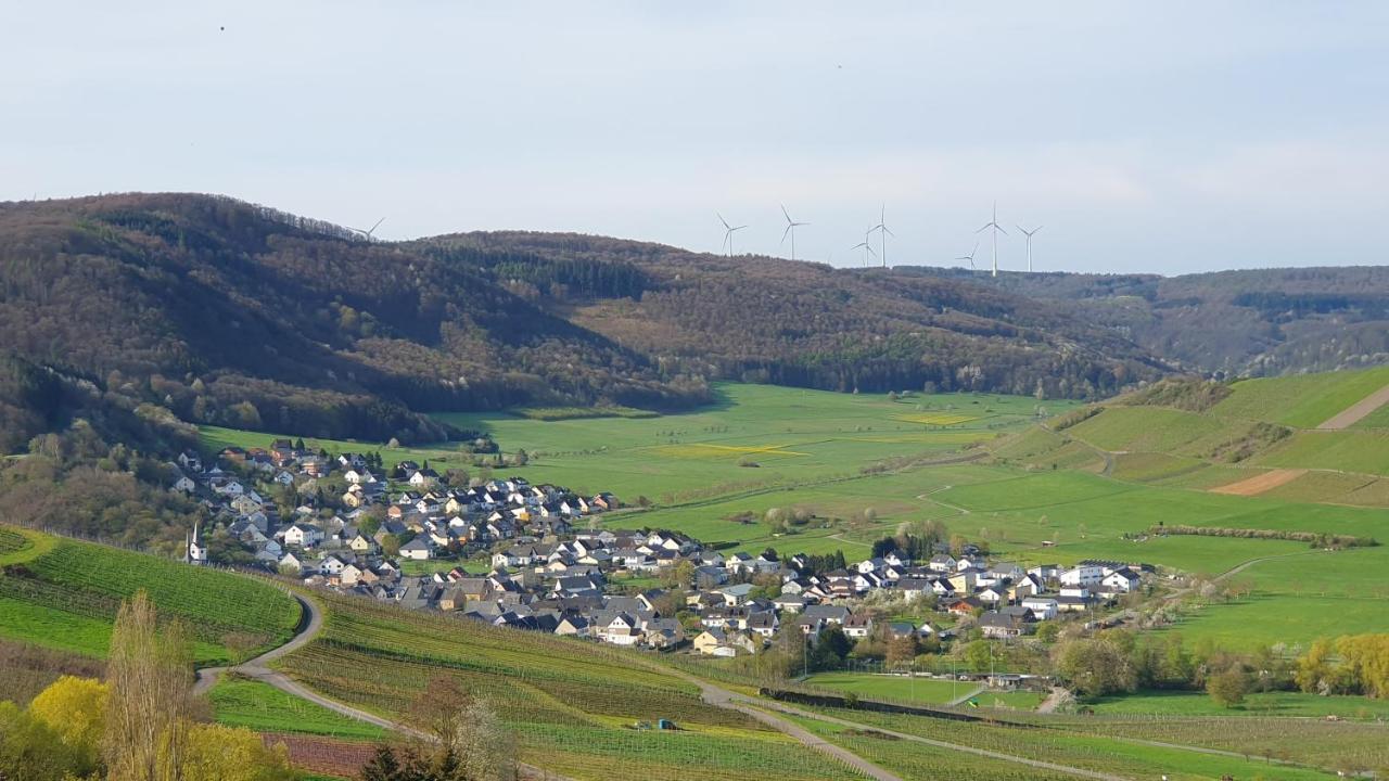 Ferienwohnung Im Moseltal Veldenz Luaran gambar