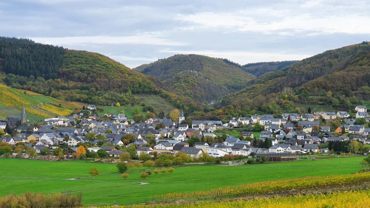 Ferienwohnung Im Moseltal Veldenz Luaran gambar