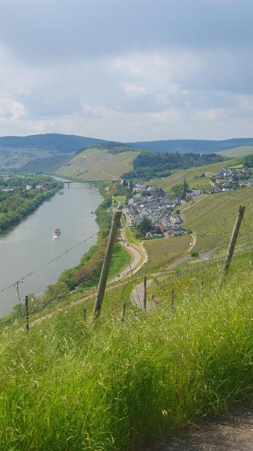 Ferienwohnung Im Moseltal Veldenz Luaran gambar
